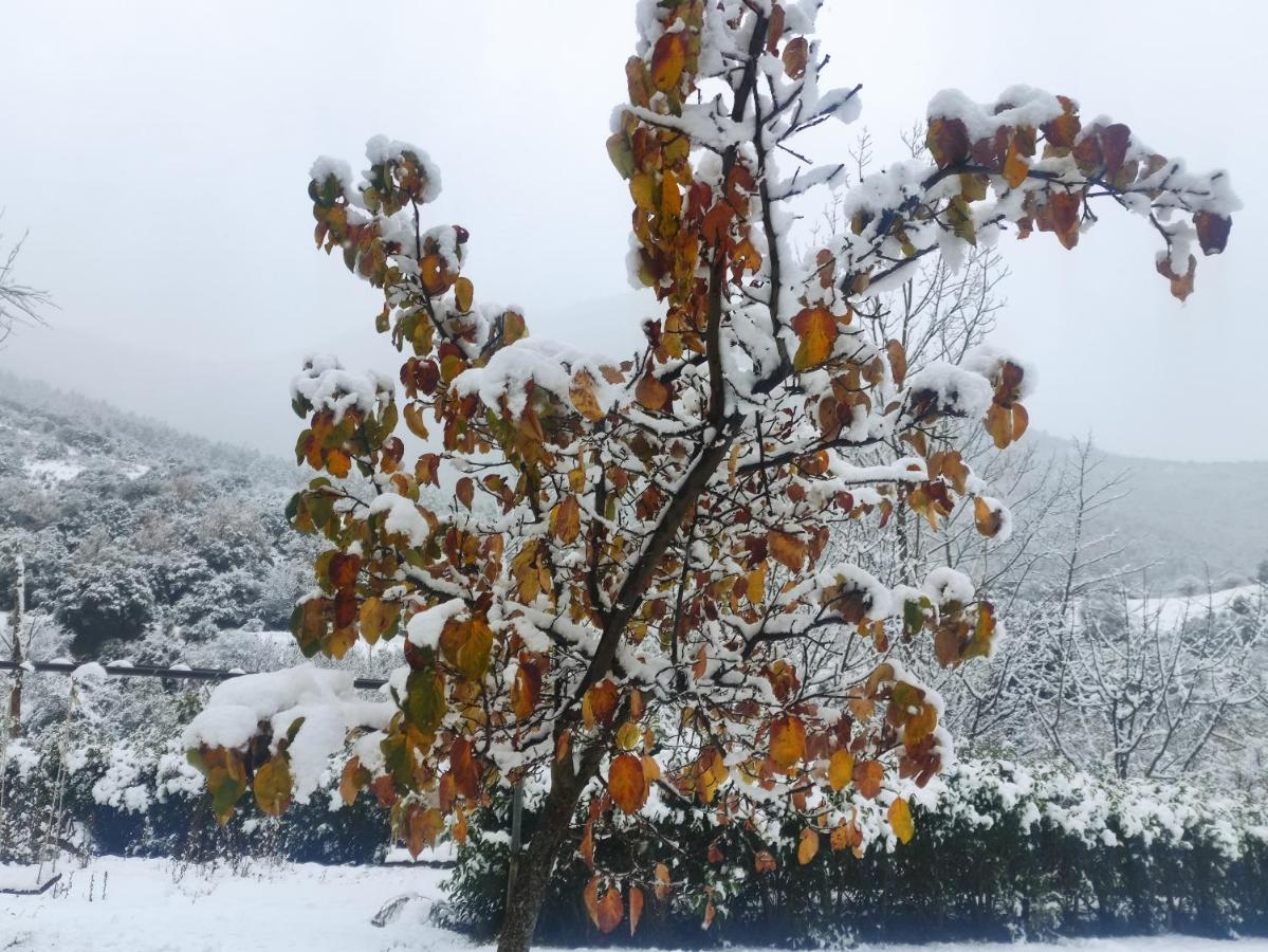 Oneiropagidasuites Калаврита Экстерьер фото